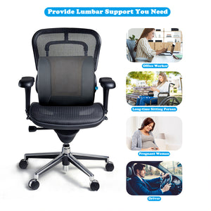 Adjustable Lumbar Back Support Pillow Cushion for Chair Car